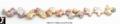 Click on image to see full size image