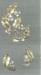 Set - Floral Rhinestone and Enamels - Pales