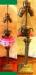 Victorian Hand Painted Pink Glass Electrified Oil Lamp