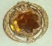 Brooch - Victorian Faceted Glass - Cherub