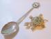 Brooch -  Turtle With Mossy Back