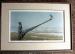 Robert Bateman Early Spring - Bluebird Limited Edition Print