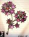 Rhinestone Brooch:  Vintage Rhinestone Floral Brooch