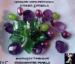 Brooch Pin: Shooting Star Brooch Pin Amethyst,Peridot ,Pearl
