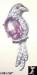 Bird Pin: Bird Pin Open Backed Pink Rhinestone Belly, Bird