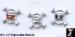 Toe Rings: Skull & Crossbones Toe Rings, Pirate Toe Rings,