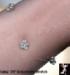 Ankle Bracelet: Rhinestone Daisy Stretch Ankle Bracelet