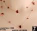 CZ Garnet Long Chain Necklace: Cubic Zirconia Long Necklace