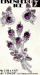 Eisenberg Ice Set: Vintage Eisenberg Purple Pin Earrings Set