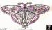 Butterfly Pin: Art Deco Style Butterfly Pin Pink Rhinestone