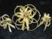 Dainty SET Gold Tone Bow & Rhinestone Brooch & Clip Earrings