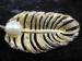 Vintage  Leaf Gold Tone Pearl-Tiny Rhinestones Signed Kramer