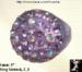 Lucite Rhinestone Ring: Lavender Plastic Rhinestone Ring