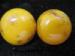 Marbleized Butterscotch Bakelite Button Clip on Earrings