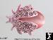 Bug Pin: Pink Rhinestone Sim. Moonstone Bug Pin | Bug Brooch