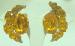 Vintage Amber Rhinestone Earrings