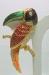 Fanciful Toucan With Rhinestones and Enamel