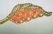 Pretty Summertime Coral and Rhinestone Brooch