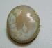 Very Old Scenic Shell Cameo