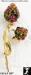 Flower Pin Brooch: Vintage Clover Rhinestone Flower Pin