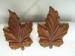 Carved Brown Maple Leaf Clip on Earrings