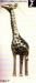 Giraffe Pin: Rhinestone Giraffe Brooch Pin