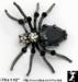 Black Widow Spider Pin: Jet Black Rhinestone CZ Spider Pin