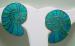 CL Designer Signed Enamel and Silver Earrings
