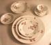 Rosenthal Moss Rose Pattern 12 Place Setting