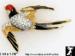 Bird Brooch: Rhinestone Enamel Bird Pin, Bird Jewelry Pins