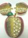 Cute Enamel & Rhinestone Apple Brooch/Pin & Earrings SET