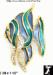 Fish Pin: Stained Glass Look Rhinestone Goldfish Brooch Pin