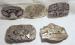 USA Military Collectible Patriotic Buckles