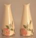 Franciscan Desert Rose Salt & Pepper Oversized Set