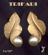 Ear164.JPG (15915 bytes)